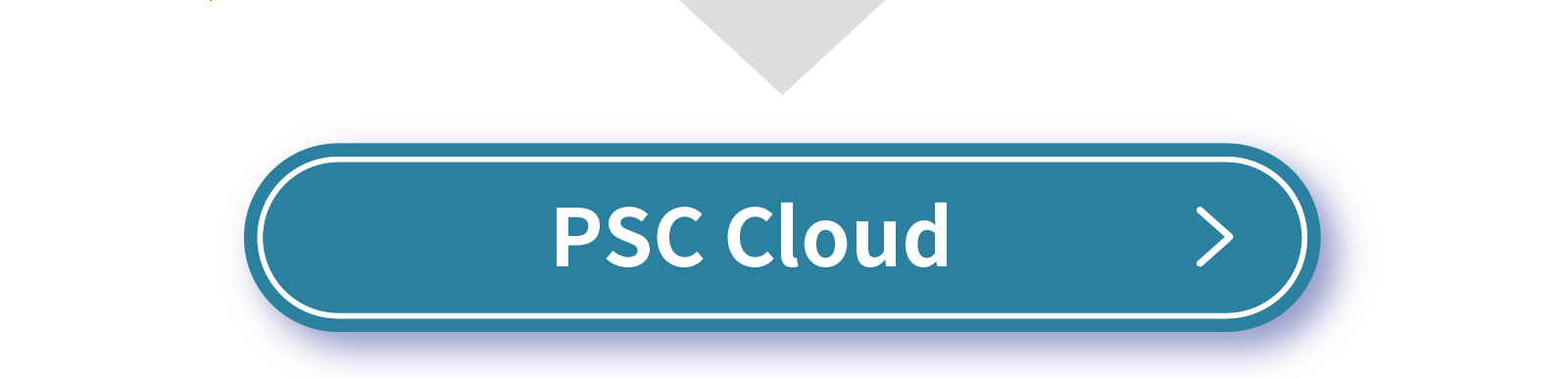 PSC Cloud Service
